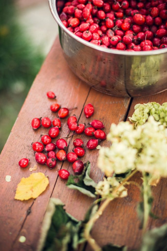 The Benefits of Using Rosehip Oil In Your Skincare Routine
